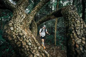 BIB: 
                            <button type="button" onclick="openModal(25394093)" class="btn btn-primary btn-sm float-right btn-popup" data-toggle="modal" data-target=".modal-high-quality">
                        <i class="fas fa-shopping-cart"></i> Add to Cart
                    </button>
                                            <button type="button" onclick="isThisMe(25394093, true)" class="btn btn-success btn-sm float-right btn-popup btn-isme hidden" data-toggle="tooltip" data-placement="bottom" title="นี่คือรูปของคุณใช่ไหม คลิกที่นี่เพื่อเอาเข้าอัลบั้ม">
                        <i class="fas fa-plus"></i> Add to album
                    </button>
                    <button type="button" onclick="isThisMe(25394093, false)" class="btn btn-warning btn-sm float-right btn-popup btn-isnotme hidden">
                        <i class="fas fa-ban"></i> Remove from album
                    </button>